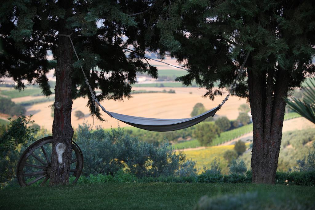 Agriturismo Il Girasole Montefalco Exterior photo